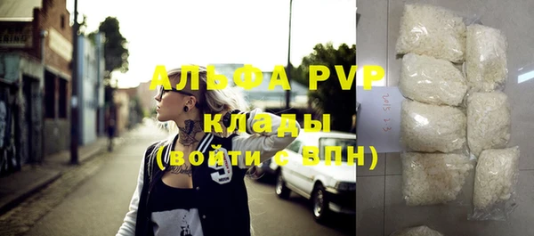 spice Дмитриев