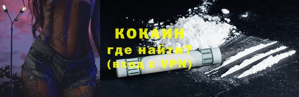 spice Дмитриев