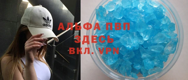 spice Дмитриев
