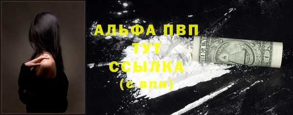 spice Дмитриев