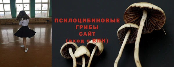 spice Дмитриев