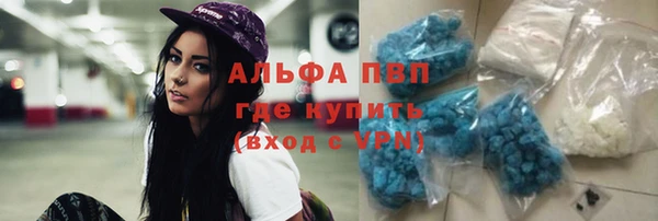 spice Дмитриев