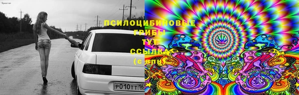 каннабис Дмитровск